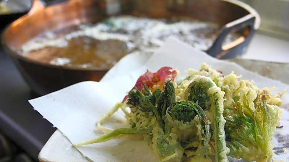 Gokayama Onsen Akaokan