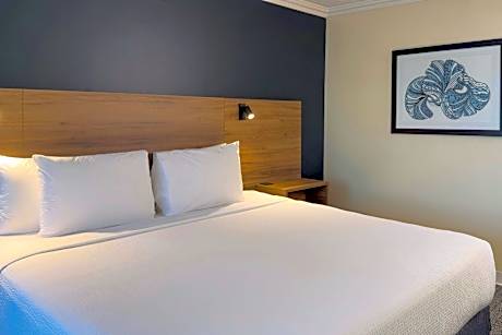 Room, 1 King Bed