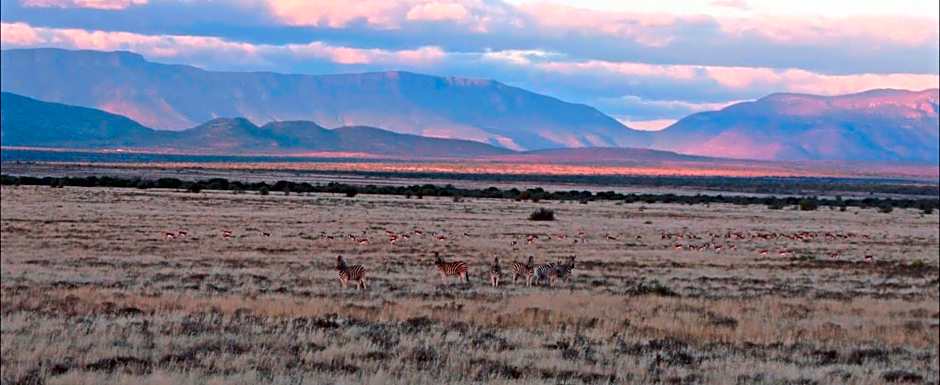 Samara Karoo Reserve