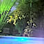 Palmas de Chahue