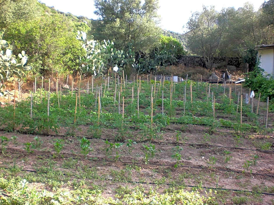 Hotel Turismo Rurale Montitundu