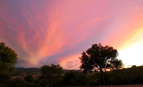 The Casitas of Arroyo Grande