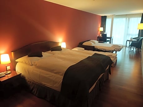 Executive King Room with Sofa Bed