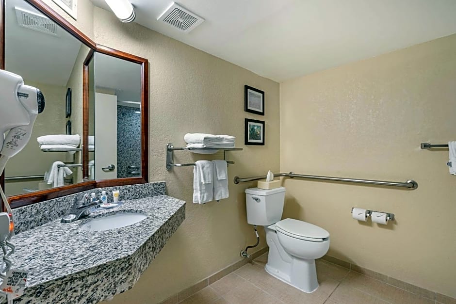 Comfort Inn & Suites St. Pete - Clearwater International Airport