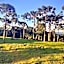 Cabanas das Araucárias