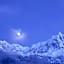 Alpenrose Chamonix