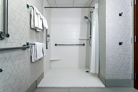 1 Queen Standard Communication Accessible Rollin Shower