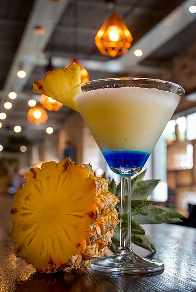 26° South Bush Boho Hotel