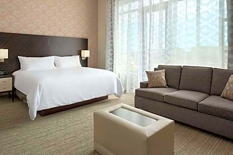 1 Room Studio Suite-1 King Bed