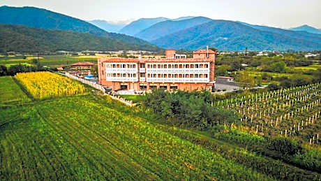 Chateau Artwine