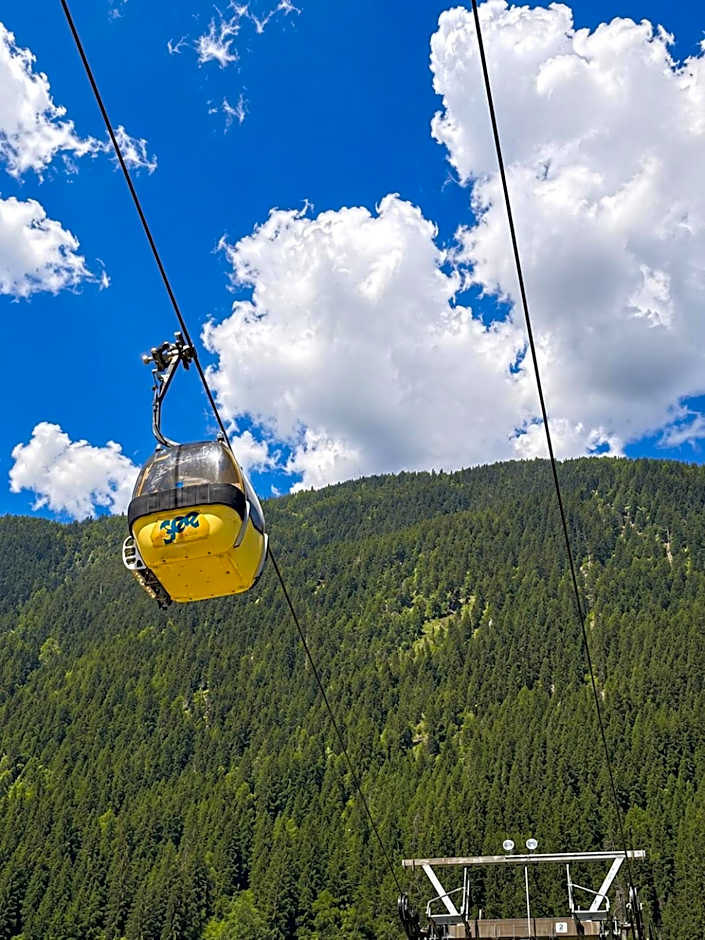 Hotel Buckelhof - See - Free Liftpass Summer