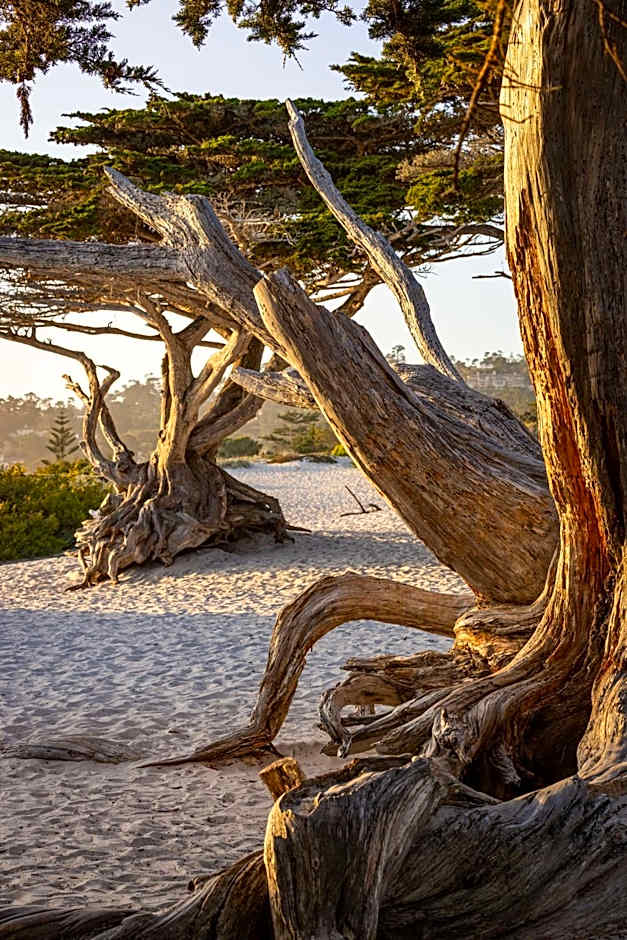 Home2 Suites by Hilton at the Dunes on Monterey Bay