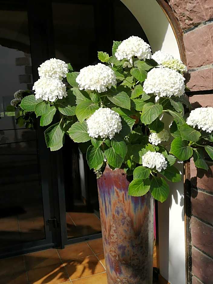 Logis Hotel Xoko-Goxoa