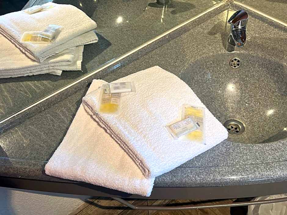 Egg Hôtel Sarcelles