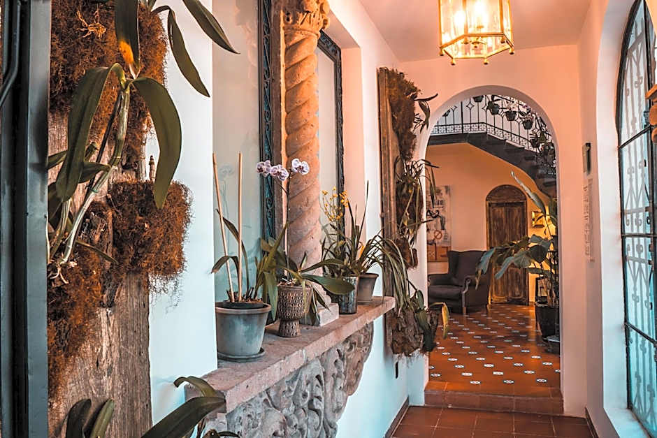 Orchid House Mexico City