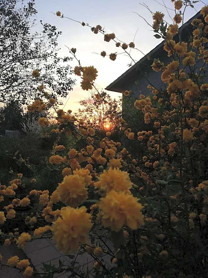La Casa nel Bosco