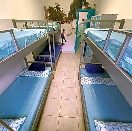 Bunk Bed in Mixed Dormitory Room