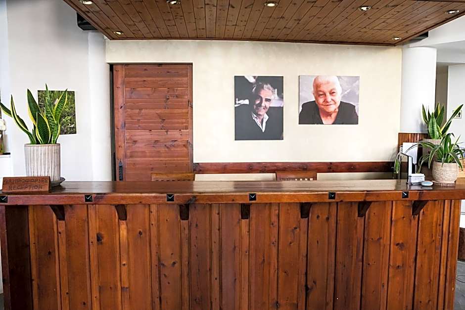 Demetriou Paradisos Hills Hotel