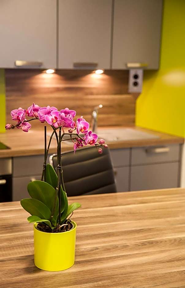 Appartements Le Hupsa Pfannala