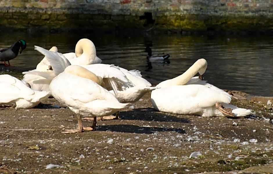 Hotel Duc De Bourgogne