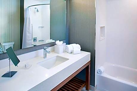 King Room with Sofa Bed and Transfer Shower - Mobility and Hearing Accessible