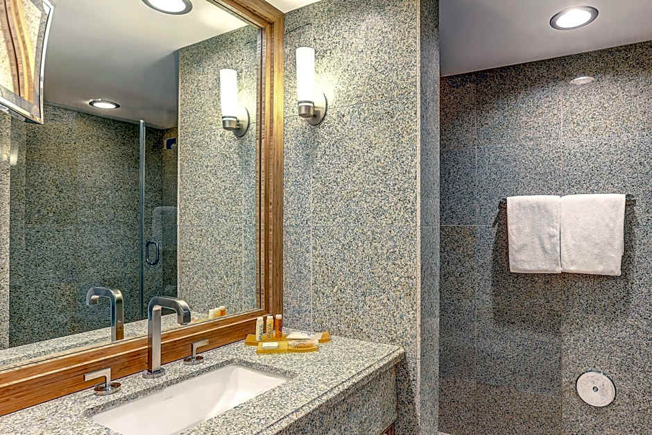 Avenue of the Arts Costa Mesa, a Tribute Portfolio Hotel