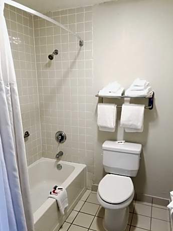 King Room - Non-Smoking