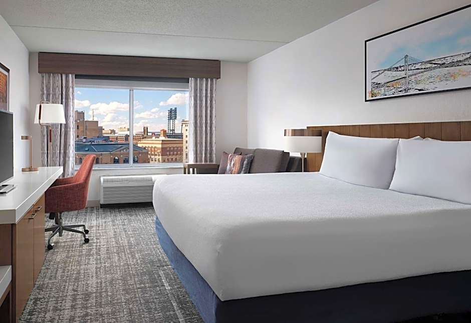 Hilton Garden Inn Detroit/Downtown