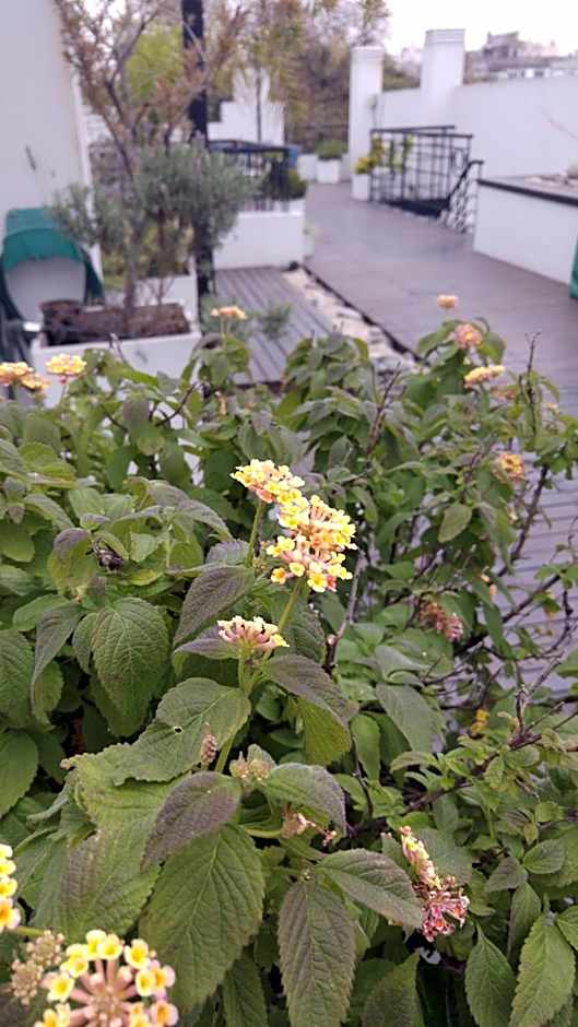 Telmho Hotel Boutique