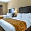 Comfort Inn & Suites Triadelphia - Wheeling