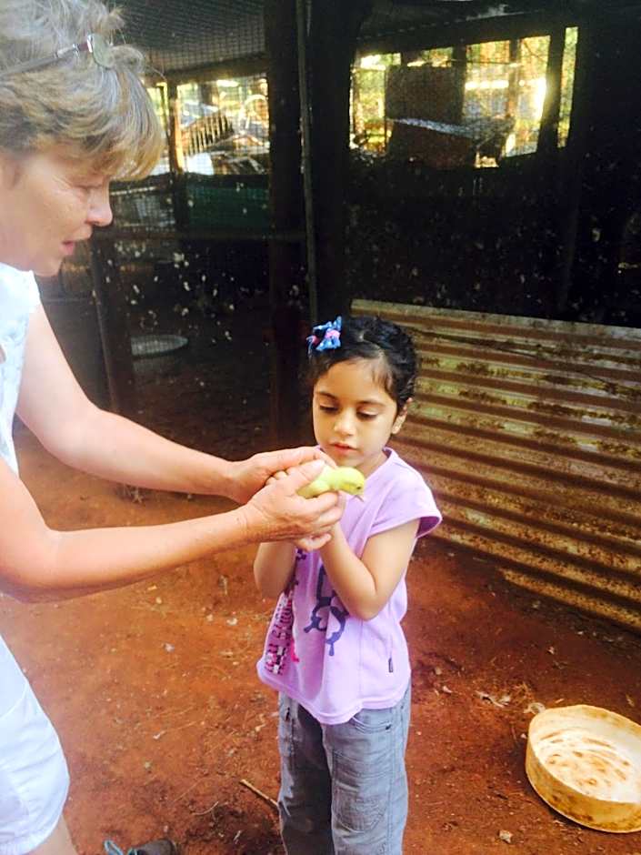 The Cradle Berry Farm