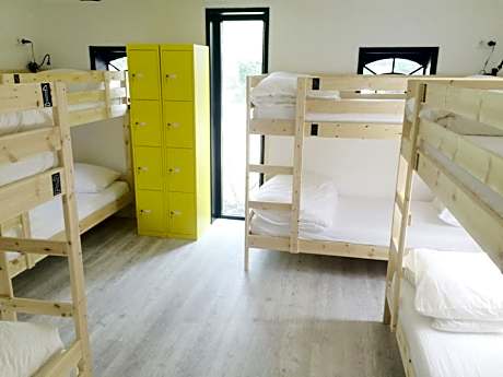 Bed in 8-Bed Dormitory Room