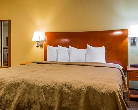 1 King Bed, Suite, Nonsmoking