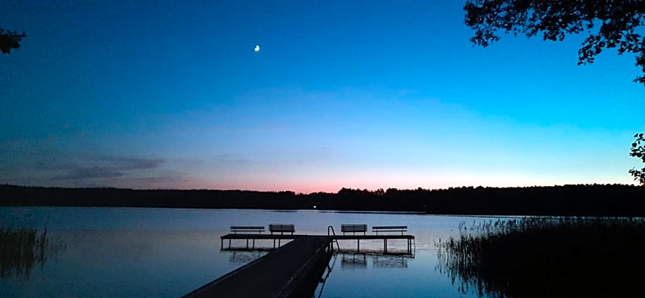 BORY TUCHOLSKIE SKÓRZENNO KO¿O OSIEKA