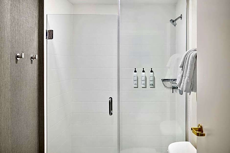 SpringHill Suites by Marriott Lansing