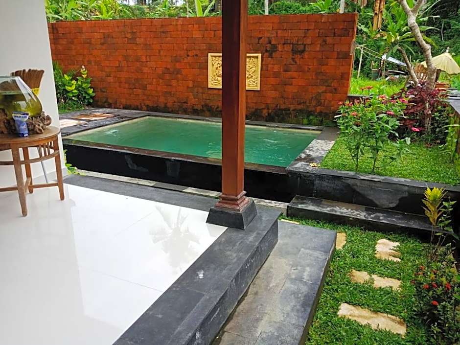 Ubud Sawah Scenery Villa and Homestay