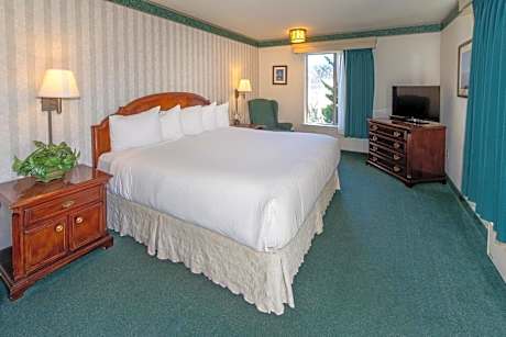 King Room (No Pets)