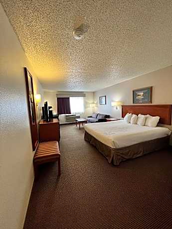 Suite 1 King Bed
