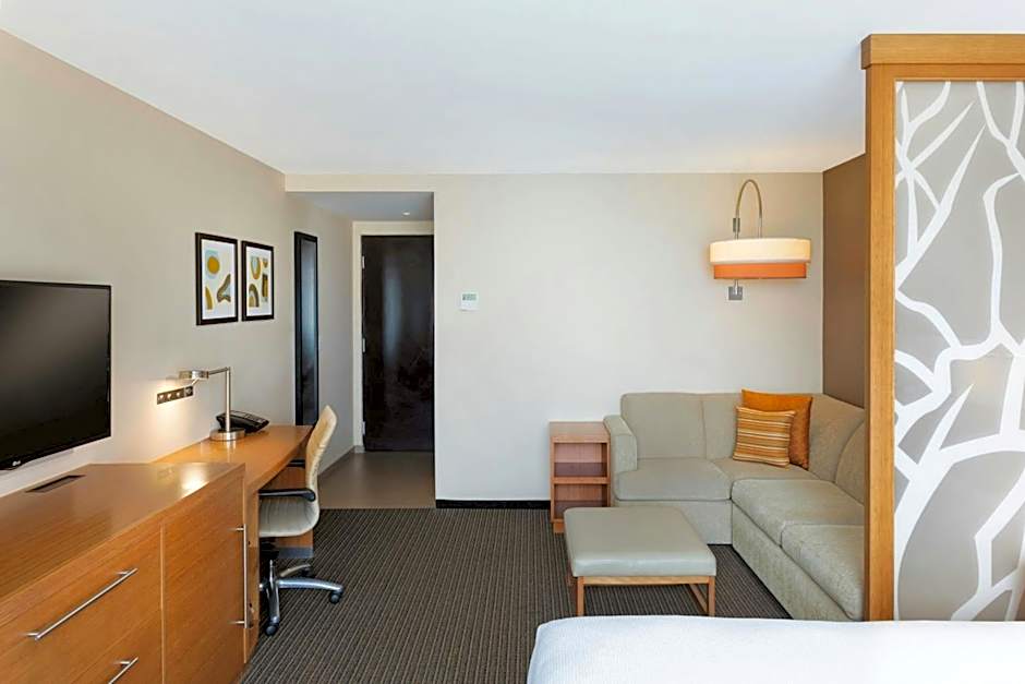 Photo 1 of 8 of Deluxe Premium 1 Queen Bed with Sofabed, Marina View