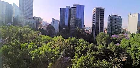 Standard King Room with City View