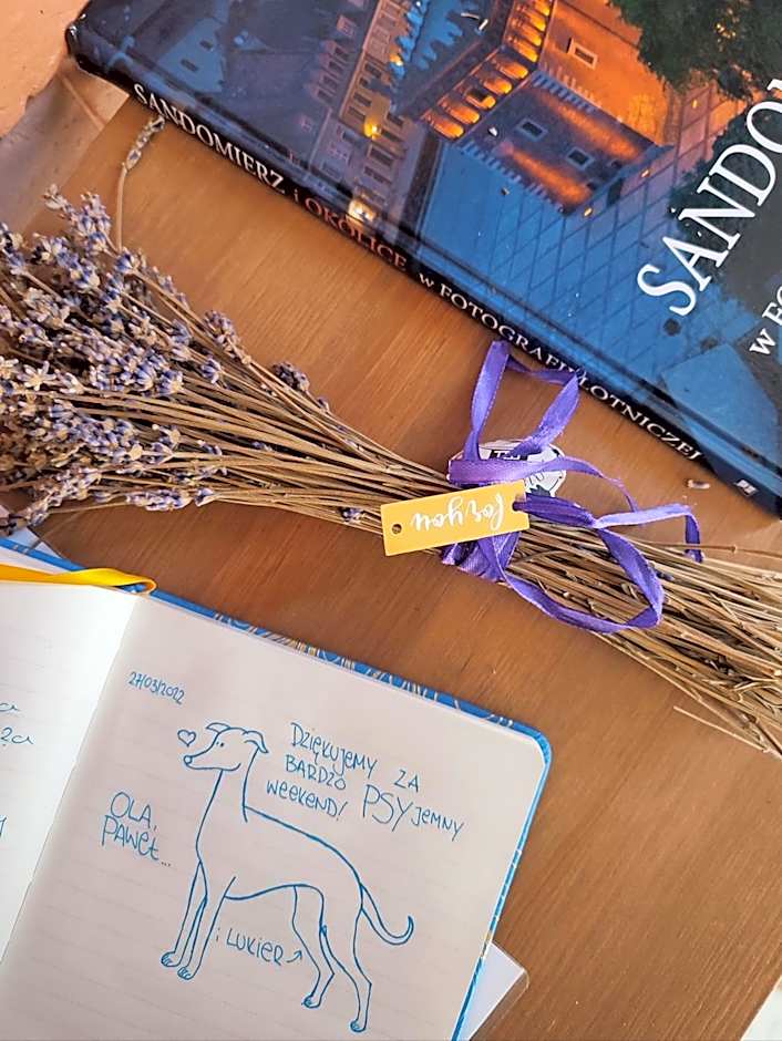 Lawendowo- sauna, jacuzzi, domki w ogrodzie i apartamenty w kamienicy