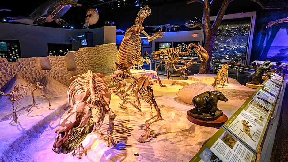 Holiday Inn Express Tallahassee By IHG