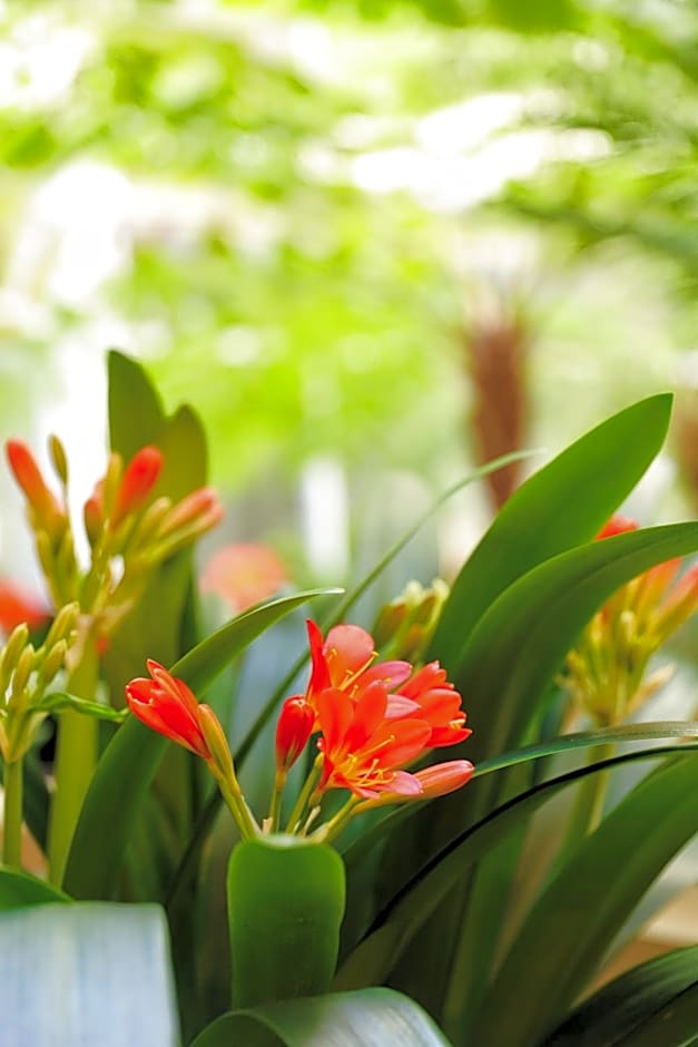 Bunbury Hotel Koombana Bay