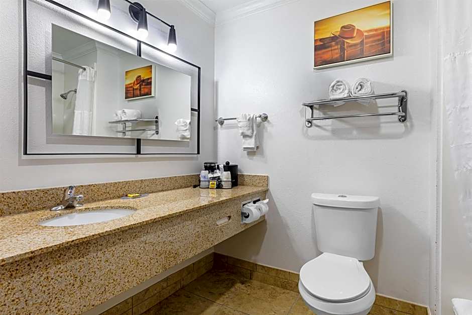 Best Western Plus Southpark Inn & Suites
