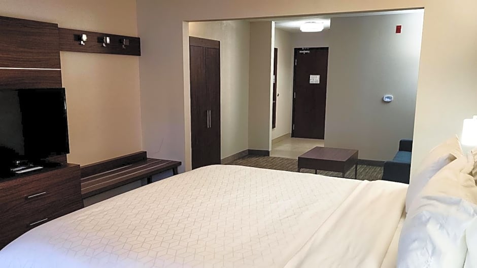 Holiday Inn Express Hotel & Suites Chicago South Lansing