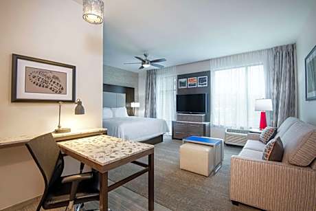 1 King Bed Studio Suite Nonsmoking