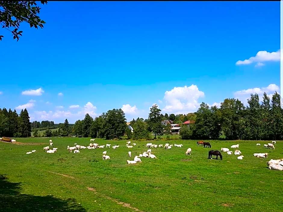 Landgasthof Grüner Baum