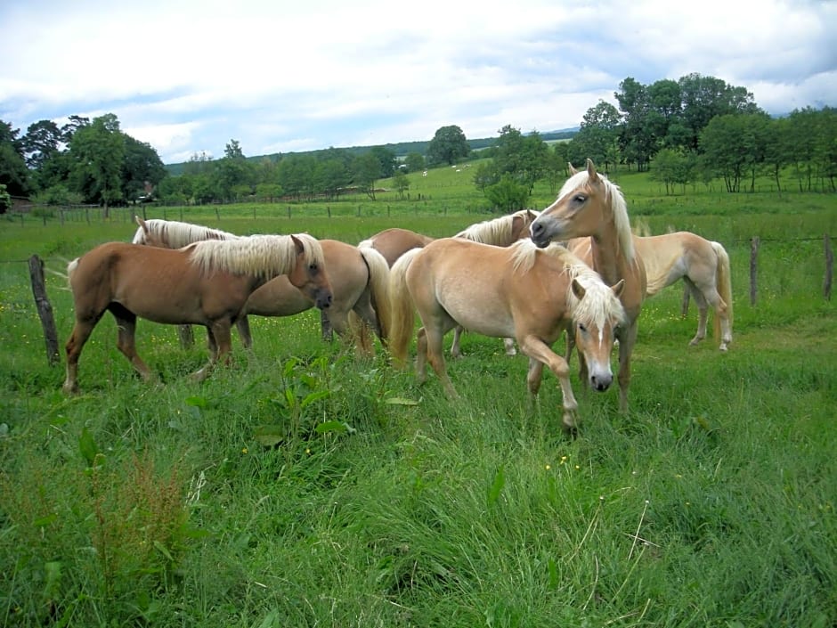 La Source D'Argammet