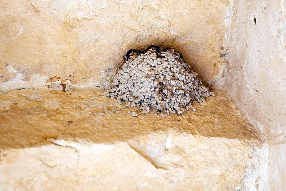 Hotel Baglio Catalano