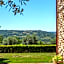 Podere del Monte